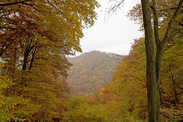 Herbst im Siebengebirge 5
